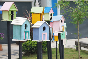 group of  wooden bird house in garden