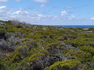 Fototapeta na wymiar Flinders Chase is a national park on Kangaroo Island