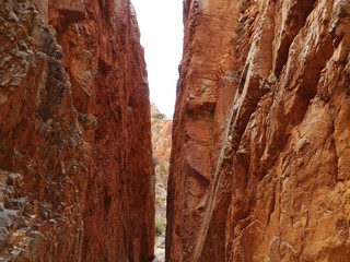 Stanley chasm in the West McDonnell ranges in Australia