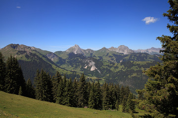 Schweizer Alpen