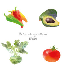 Set of pepper avocado tomato kohlrabi