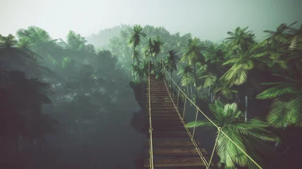 Fotobehang Touwbrug in mistige jungle met palmen. Verlicht. © ysbrandcosijn
