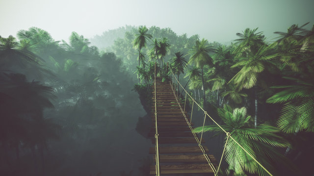 Fototapeta Fototapeta Most linowy w mglistej dżungli z palmami do pokoju