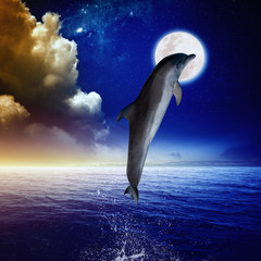 Obrazy na Szkle  Delfin i księżyc