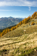 Naklejka premium Alberi in veste autunnale in montagna