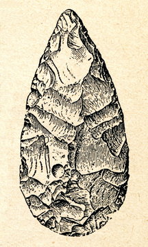 Acheulean hand axe or biface