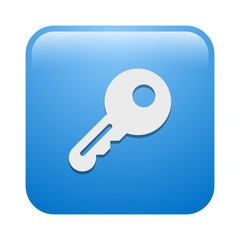 Vector Icon