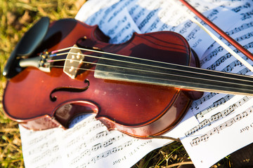 Fototapeta premium Violin and notes on autumn leaves