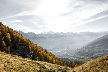 Fototapeta premium Paesaggio autunnale in montagna con alberi