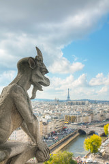 Fototapeta premium Paris aerial view with Chimera