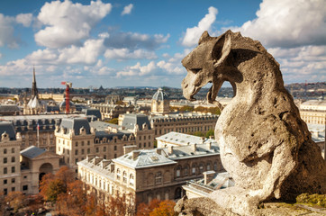 Paris aerial view with Chimera