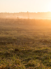 beautiful misty meadow in the morning frost