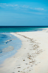 zanzibar