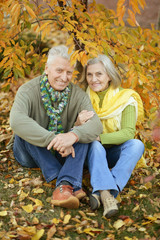 Fototapeta premium Elderly couple in the park