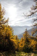 Paesaggio autunnale in montagna con alberi