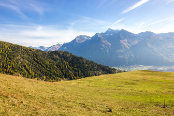 Pascolo di montagna