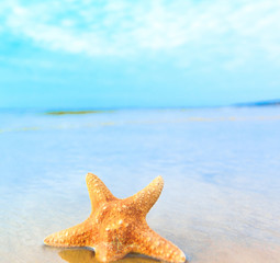 Star Beach Sea