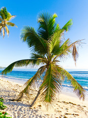 Scene Wallpaper Sunshine