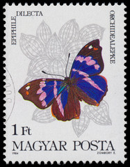 Stamp printed in Hungary shows a butterfly