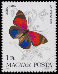 Stamp printed in Hungary shows a butterfly