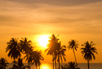 Fototapeta na wymiar Sunset Divine Coconut Horizon