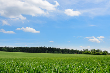 Landwirtschaft Natur