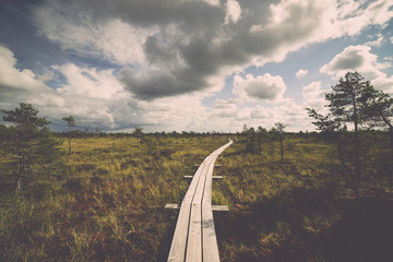 swamp view with lakes and footpath. Vintage.