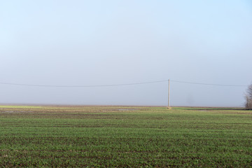 beautiful green meadow in heavy mist