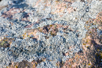 rocky beach at sunset with milky water