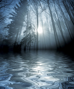 Fototapeta an autumn forest and fog above water level