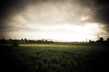 Fototapeta premium Dramatic field. Landscape. In dark colors