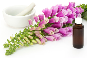 Digitalis mit Herztropfen.- Digitalis with cardiac drops