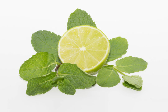 lime and mint isolated on white background
