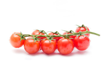 tomates cerise sur fond blanc
