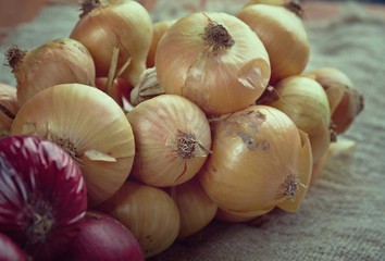 Hanging bunch bundle of onion
