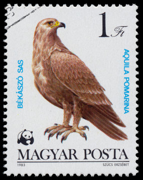 Stamp printed in Hungary shows "Bird of prey"