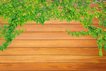 Pine wood plank texture for background