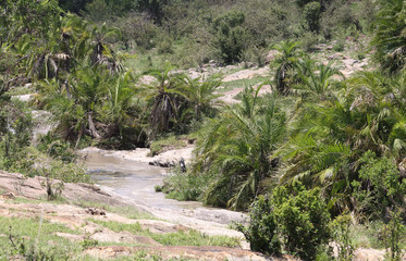 kleiner afrikanischer Fluss