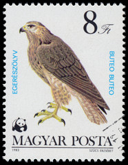 Fototapeta na wymiar Stamp printed in Hungary shows 