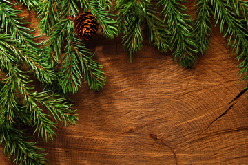 Naklejka premium Evergreen tree background