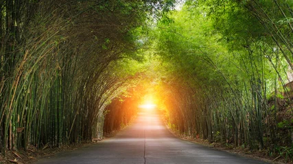 Foto op Aluminium The road is surrounded by bamboo © SKT Studio