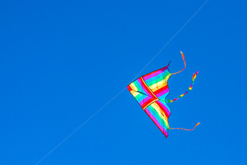 kite in the blue sky