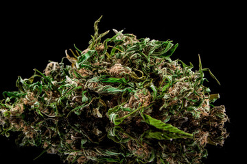 Cannabis on a black background