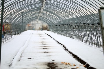 冬仕舞いされたビニールハウス