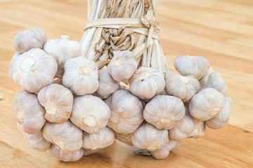 Garlic