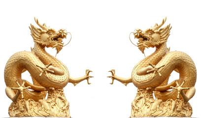 Fototapeta premium Giant golden Chinese dragon on isolate background