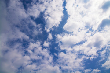 Fototapeta premium 青空の素材