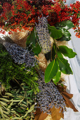 bundles of  blue lavender