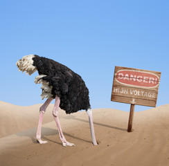 bange struisvogel die zijn hoofd in het zand begraaft onder gevaarbord