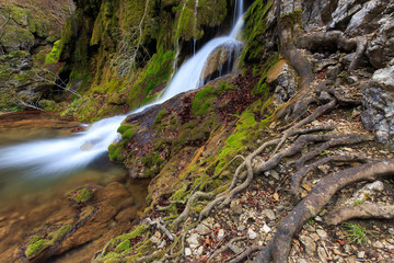  Beautiful waterfalls and autumn foliage in the forest